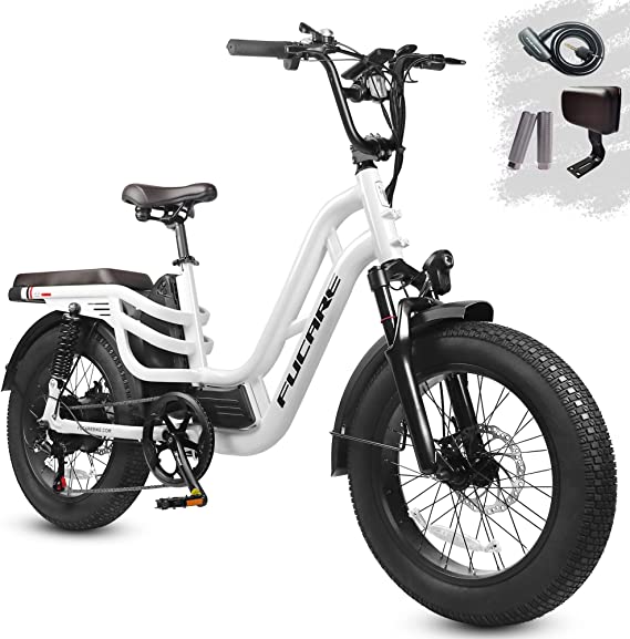 Fucare Libra Electric Bike , All Terrain, Fat Tire 20" 4.0" 750W 15Ah 31Mph 48V